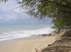  Trips : North America Martinique petite anse des Salines