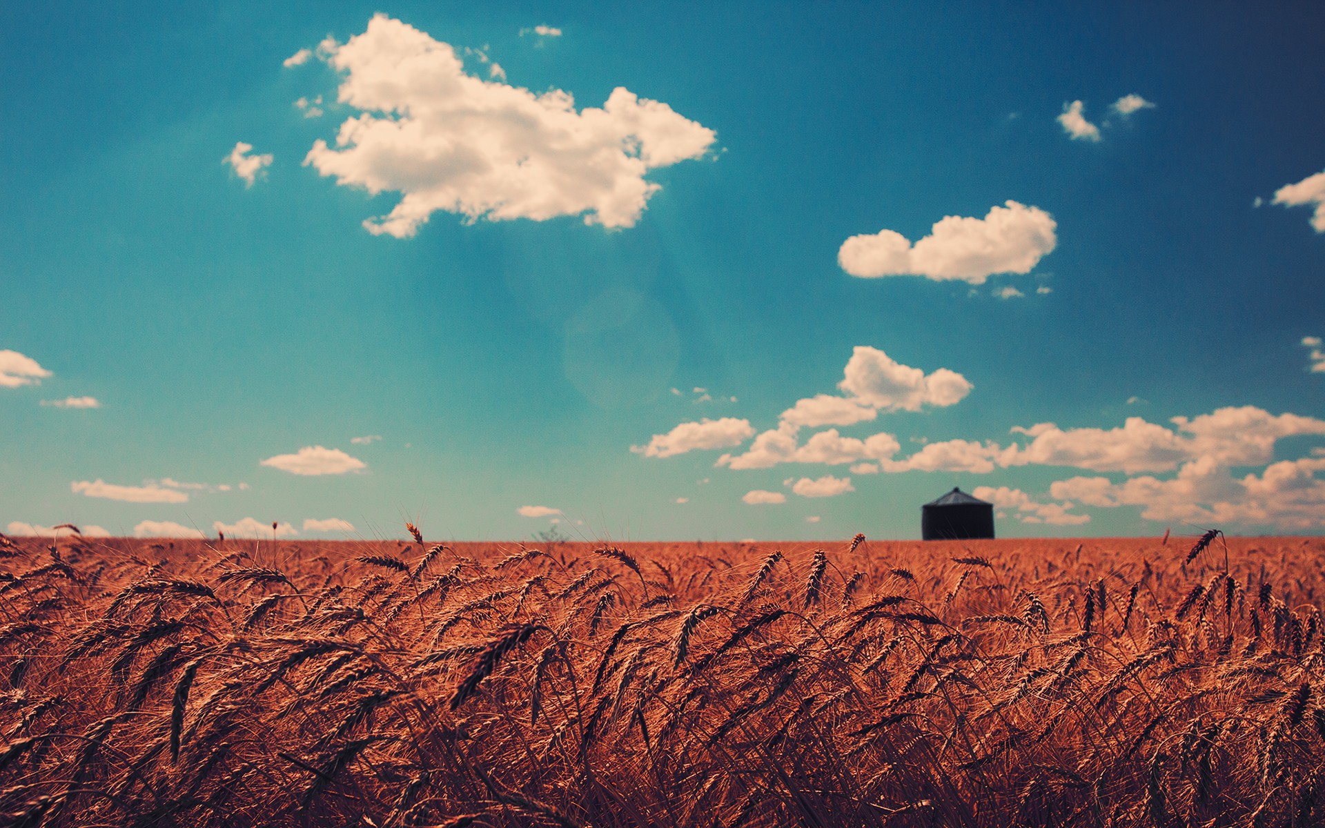 Fonds d'cran Nature Champs - Prairies 