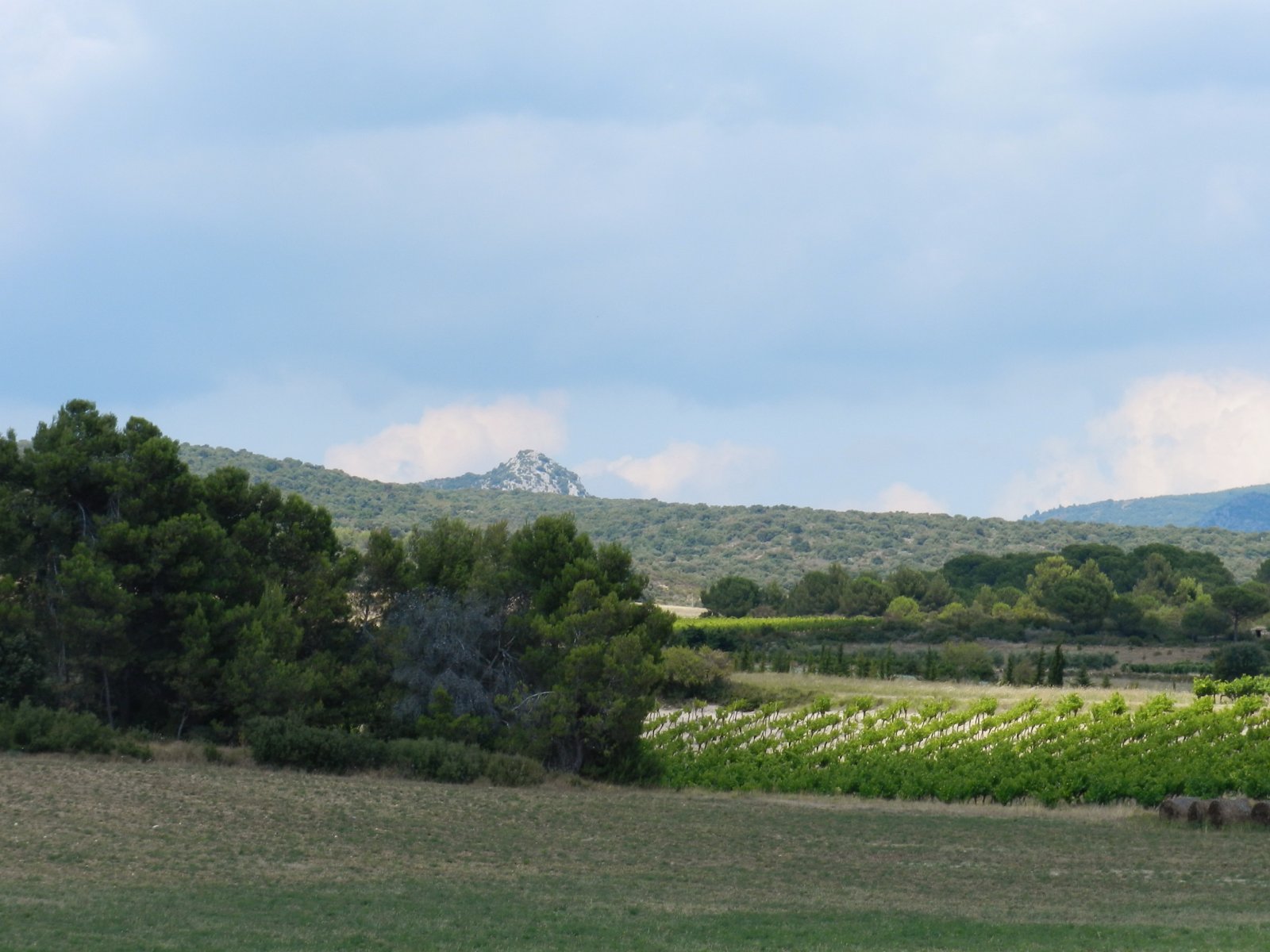 Fonds d'cran Nature Paysages 