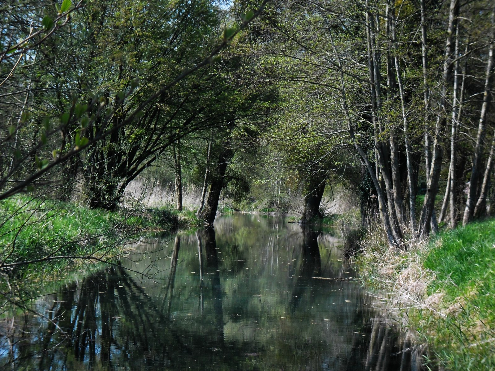 Wallpapers Nature Rivers - Torrents Marais de sissonne