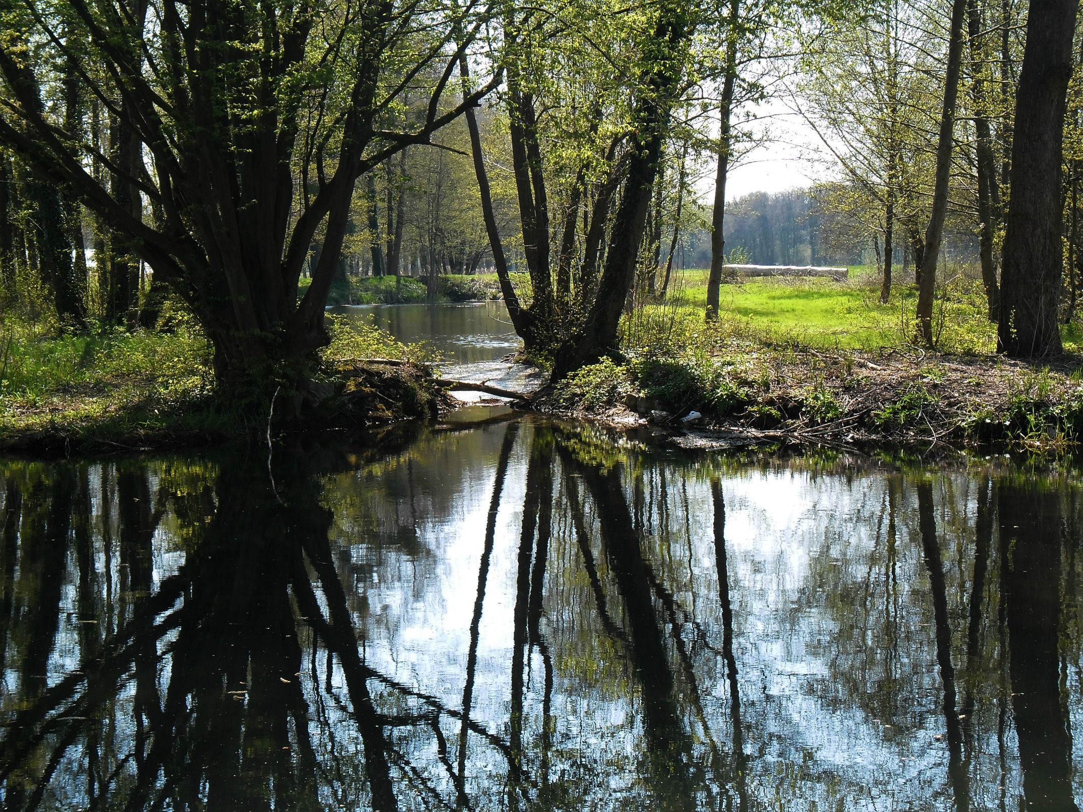 Wallpapers Nature Rivers - Torrents 