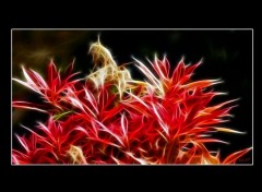  Art - Numrique plante fractal