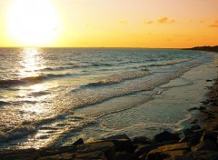  Nature Plage de la mine d'or