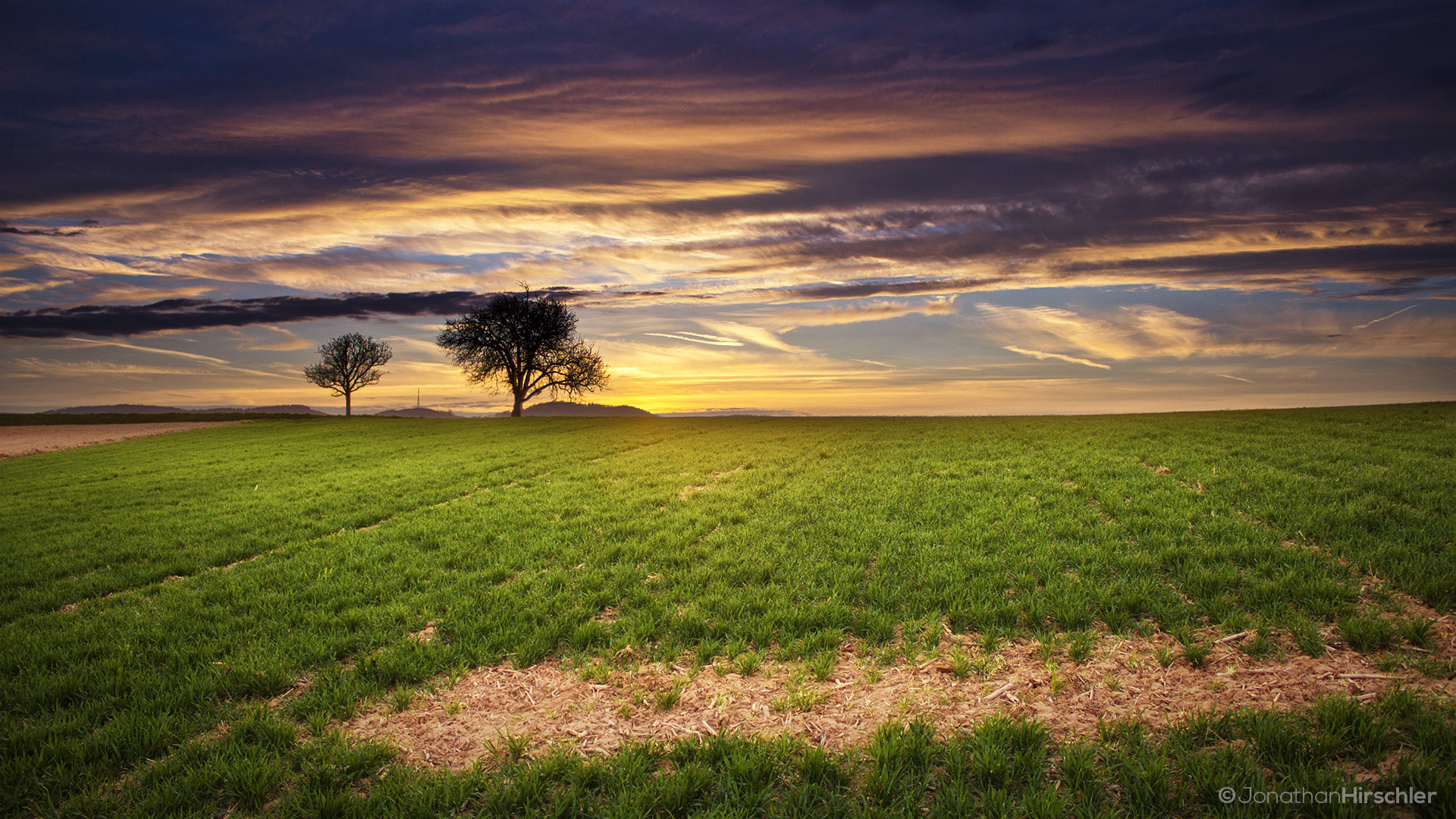 Wallpapers Nature Fields Coucher de soleil