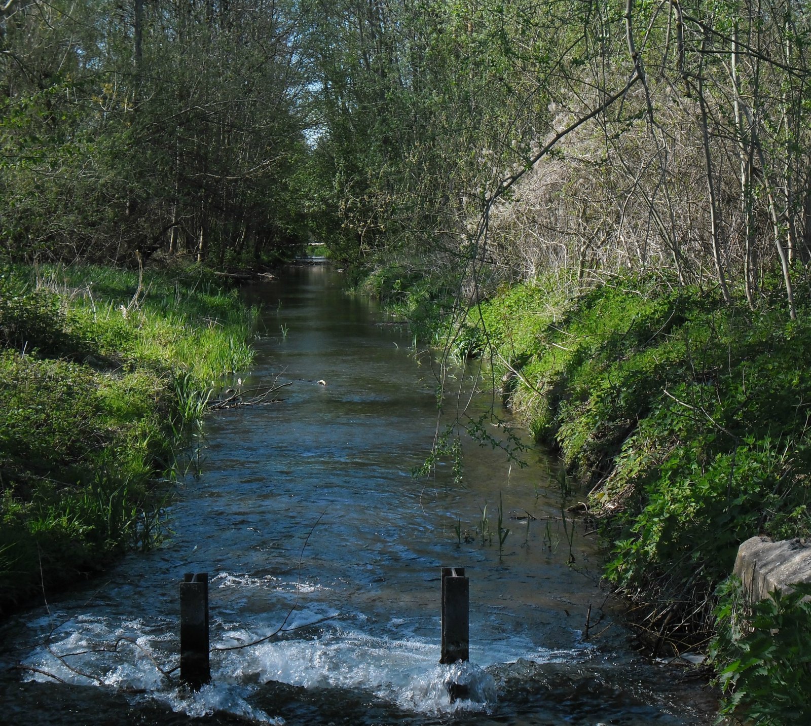 Wallpapers Nature Rivers - Torrents 