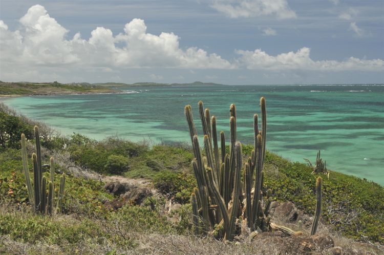 Fonds d'cran Voyages : Amrique du nord La Martinique Martinique anse Grosses Roches