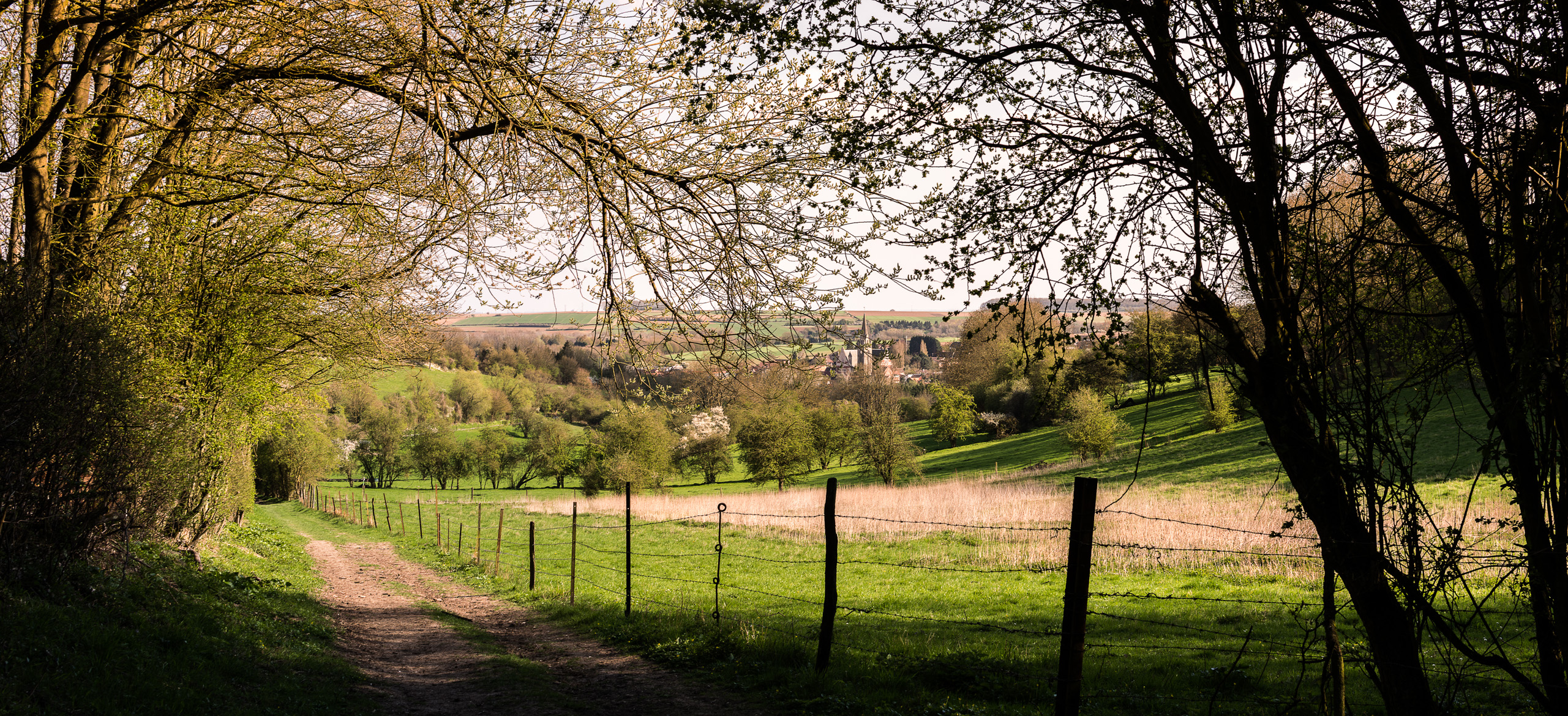 Fonds d'cran Nature Chemins 