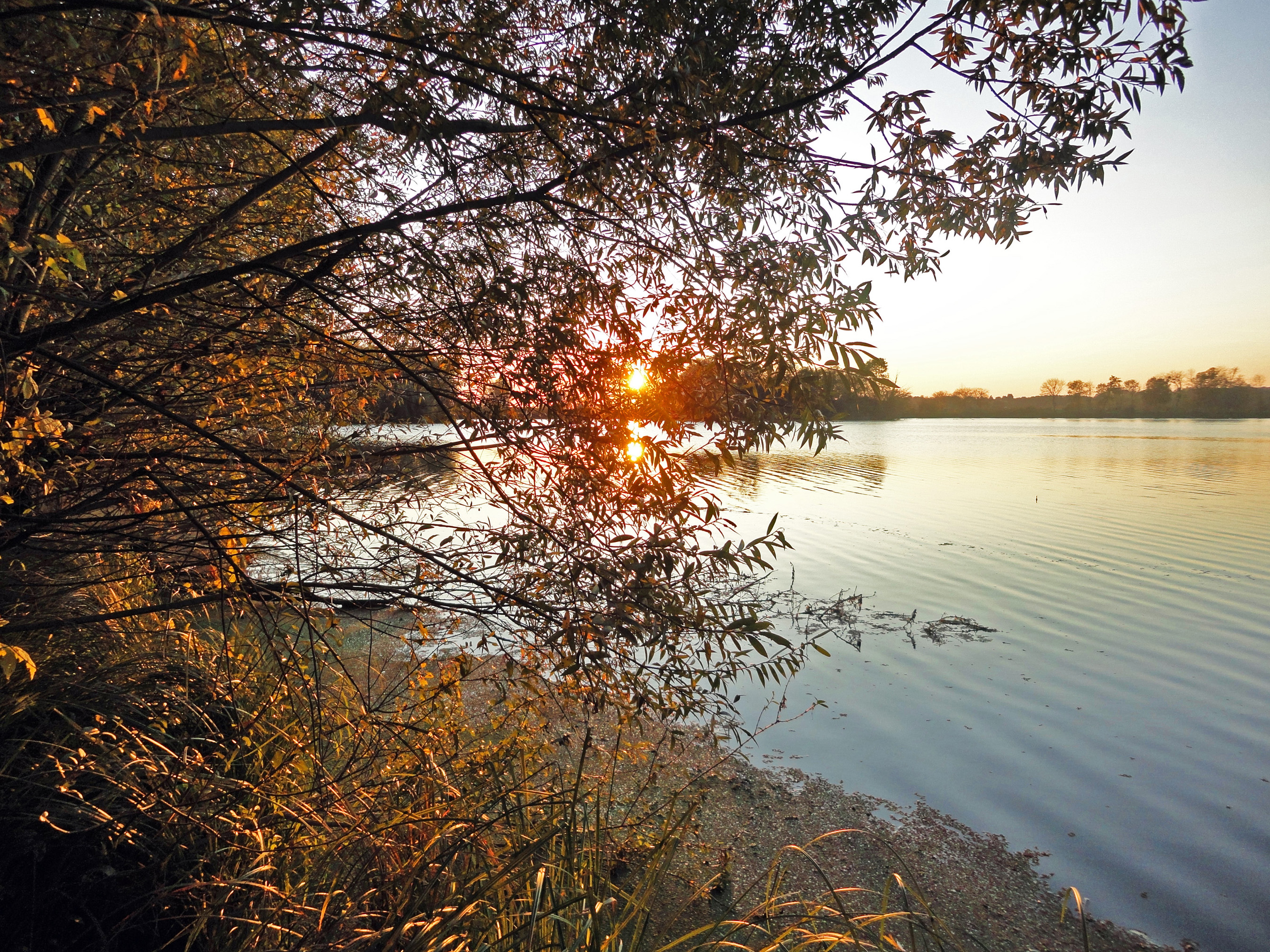 Fonds d'cran Nature Couchers et levers de Soleil 