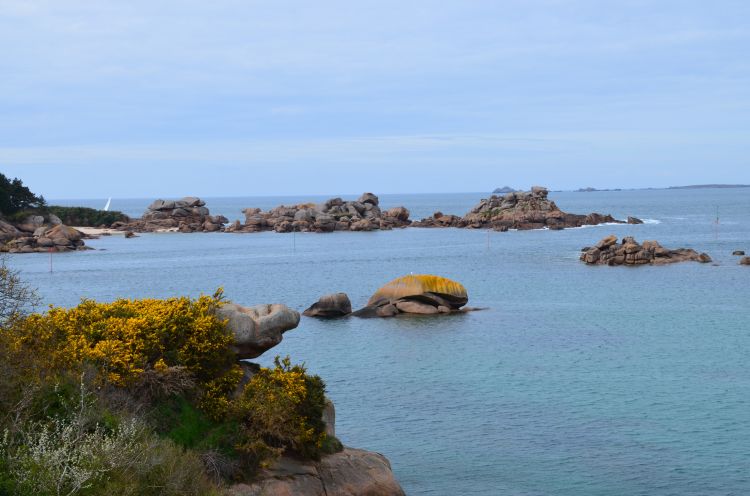 Fonds d'cran Nature Mers - Ocans - Plages paimpol