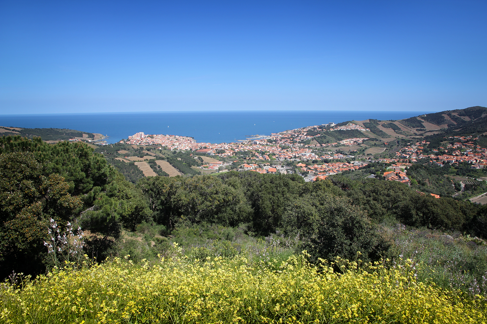 Wallpapers Nature Seas - Oceans - Beaches Printemps sur les hauteurs de Banyuls sur mer