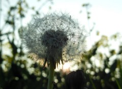  Nature Balade en pleine nature.