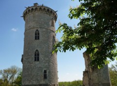  Constructions and architecture Château Gothique à Mehun sur Yèvre (18)