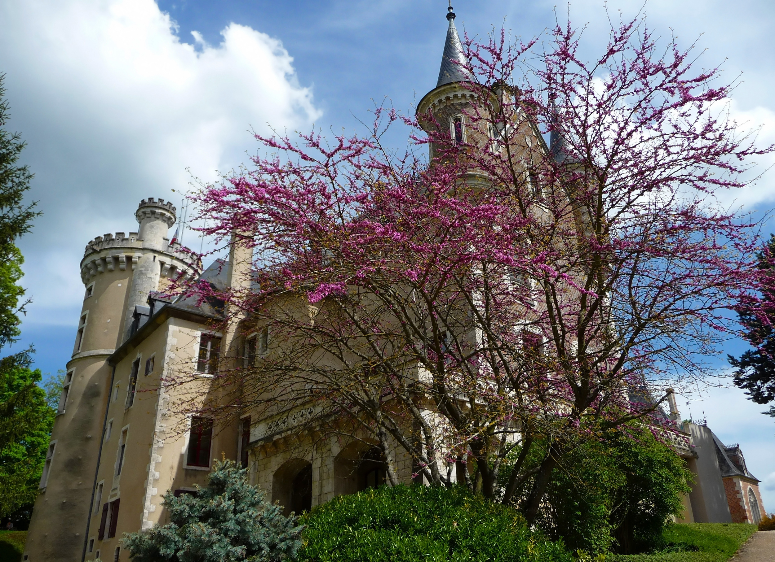 Wallpapers Constructions and architecture Castles - Palace Château de Saint Florent sur Cher (18)