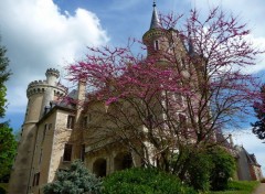  Constructions and architecture Château de Saint Florent sur Cher (18)