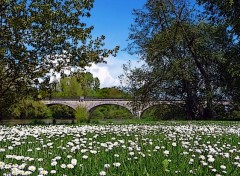  Nature Lunery 