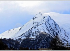  Nature Cime des Alpes