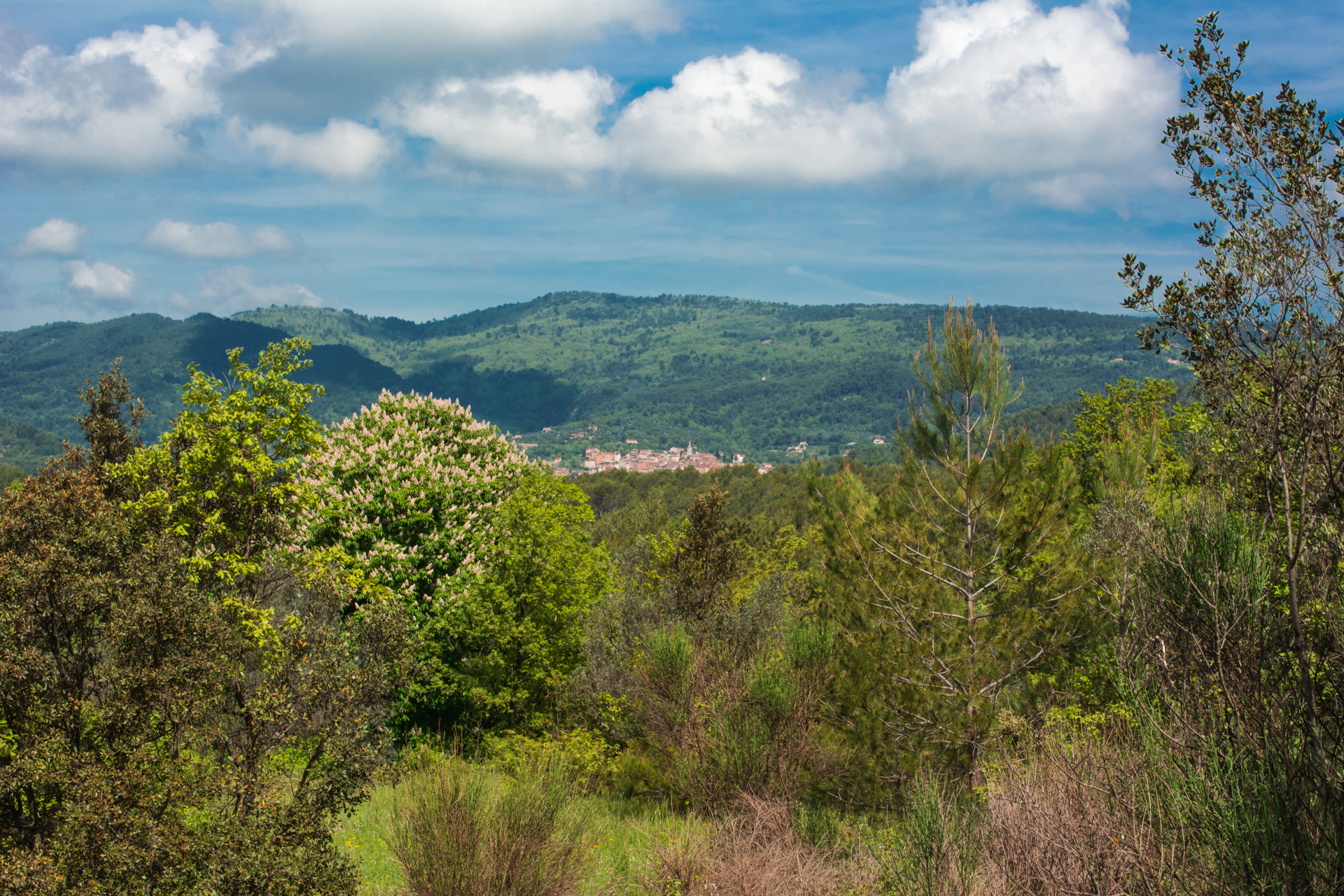 Wallpapers Nature Landscapes Callas du Var