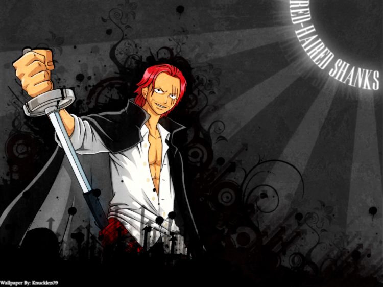 Fonds d'cran Manga One Piece Wallpaper N342369