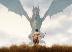  Jeux Vido "The Elderscroll V: Skyrim": Girl vs dragon