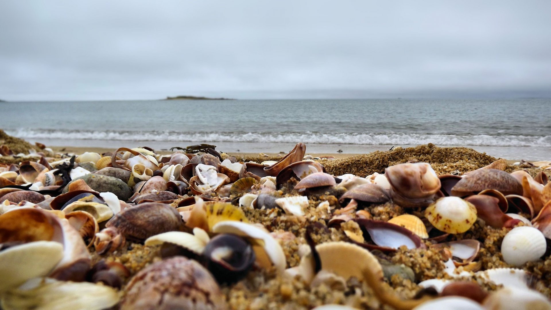 Fonds d'cran Nature Mers - Ocans - Plages 