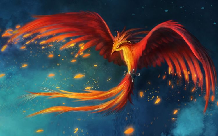 Wallpapers Fantasy and Science Fiction Creatures : Phoenix Wallpaper N342326