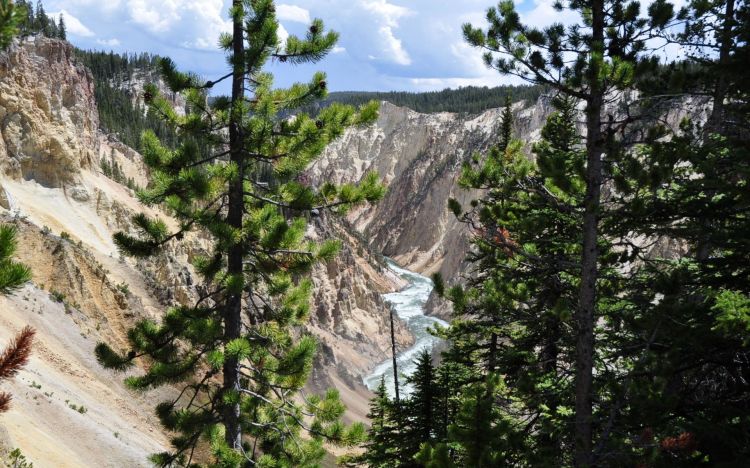 Fonds d'cran Nature Cascades - Chutes Yellowstone