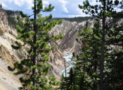  Nature Yellowstone