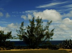  Nature Site du Gouffre