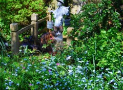  Animals Mouchette au jardin