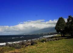  Nature Bord de mer