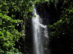  Nature Anse des Cascades