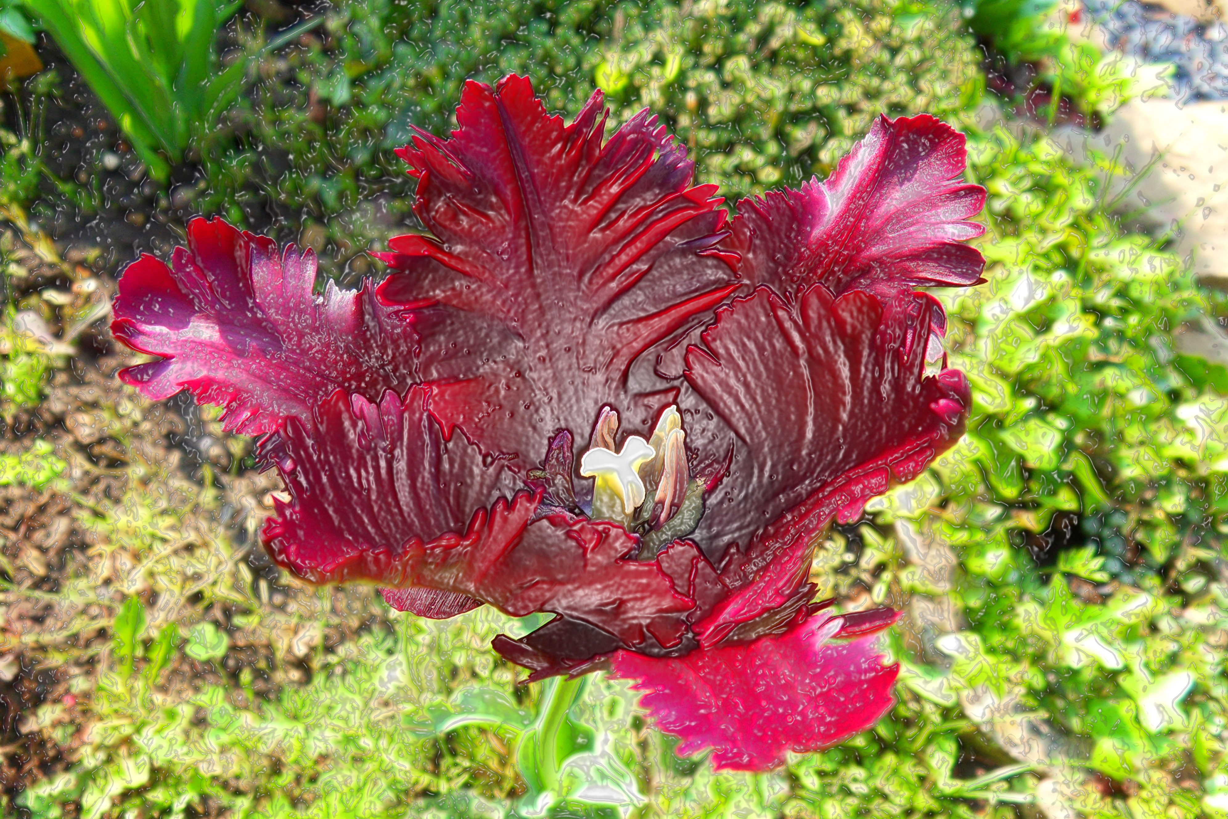 Fonds d'cran Art - Numrique Nature - Fleurs 