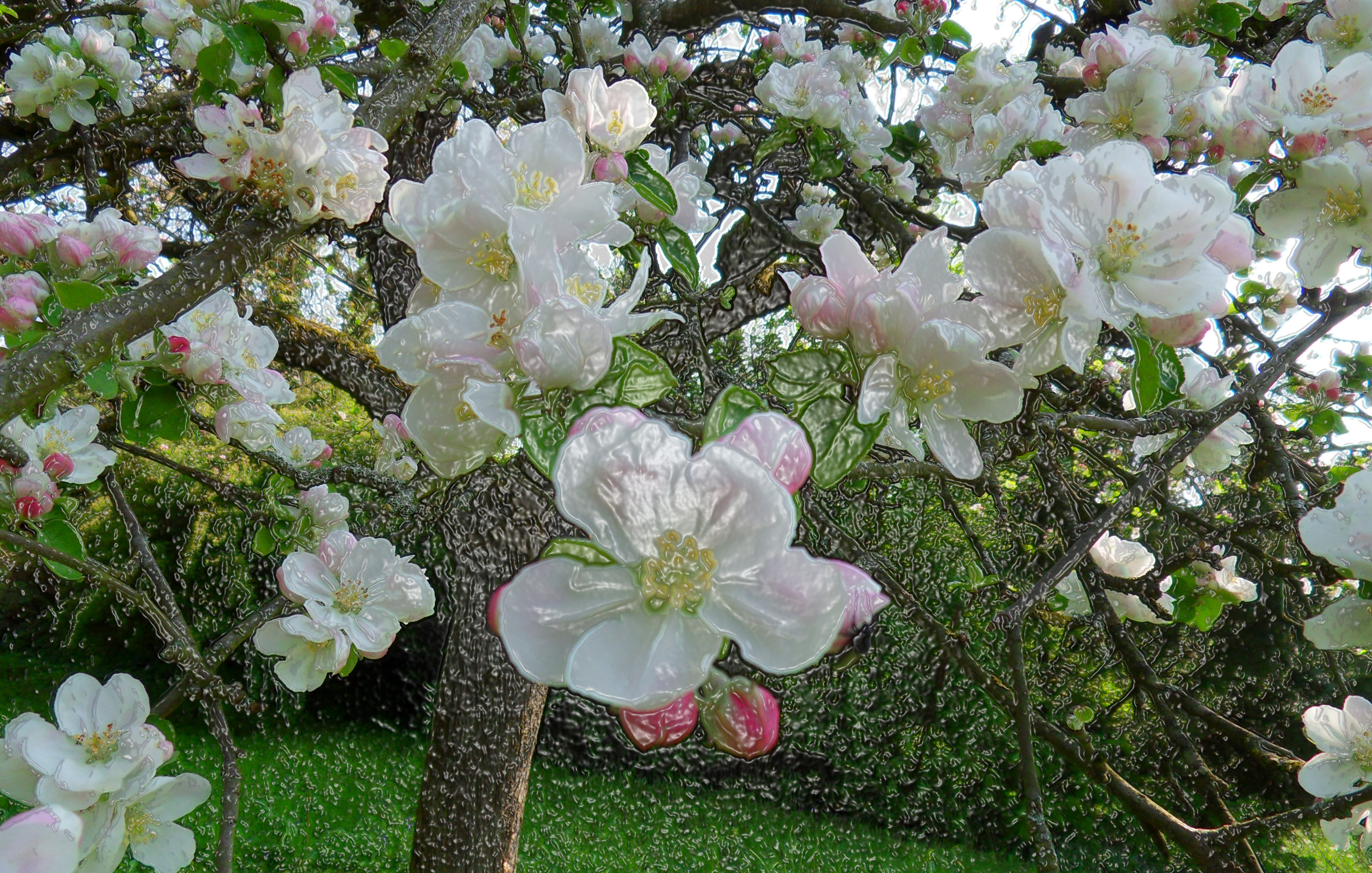 Fonds d'cran Art - Numrique Nature - Fleurs 