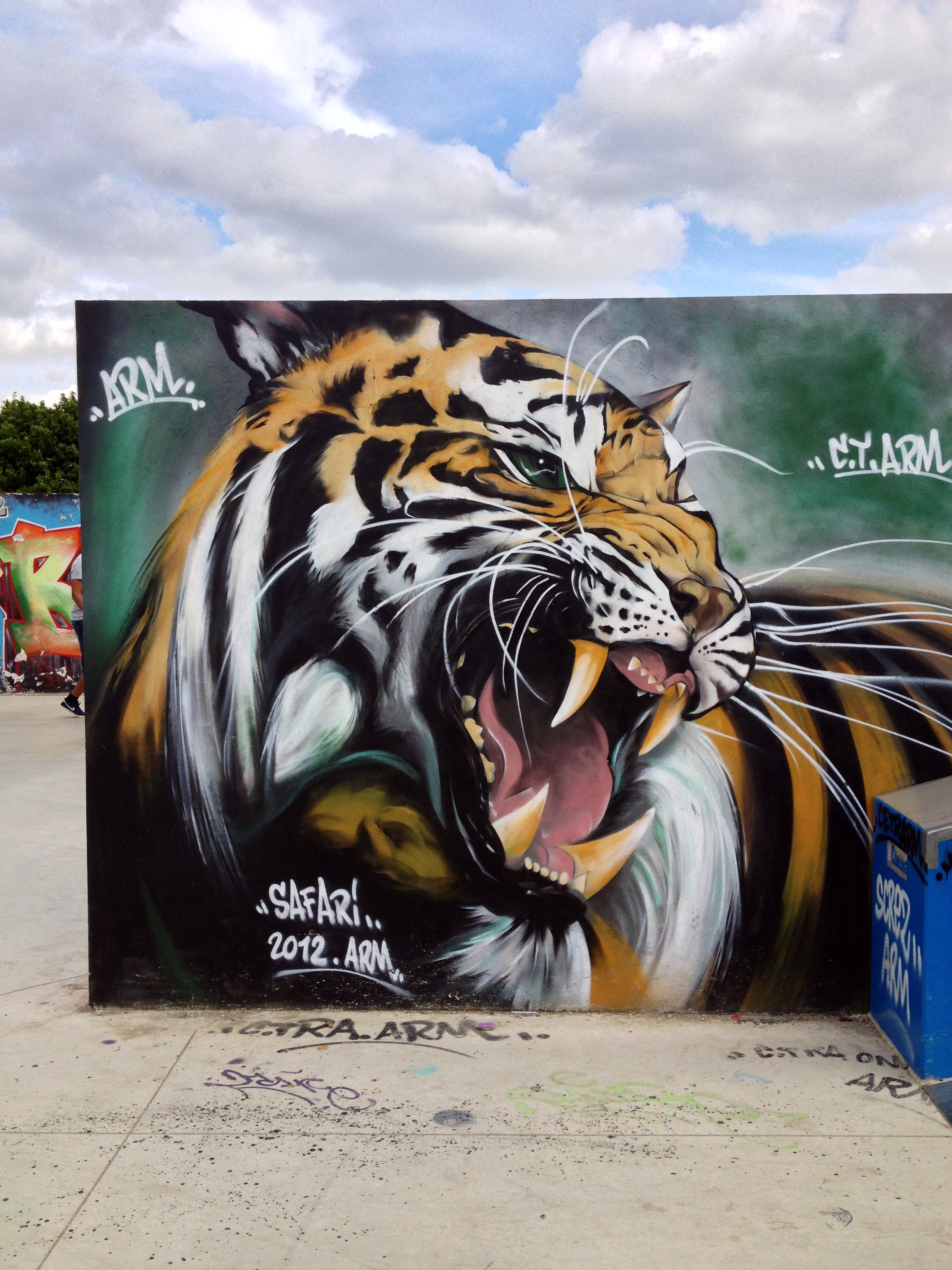 Fonds d'cran Art - Peinture Graffitis L'oeil du tigre 