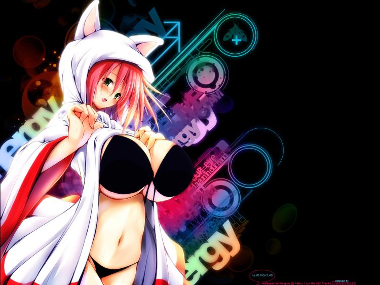 Fonds d'cran Manga Sexy Wallpaper N343767