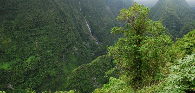 Fonds d'cran Nature Montagnes Takamaka - St-Benoît 