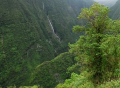  Nature Takamaka - St-Benoît 