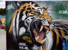  Art - Peinture L'oeil du tigre 