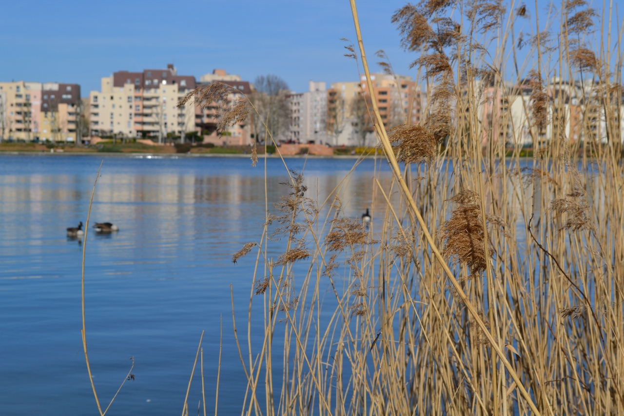 Fonds d'cran Nature Lacs - Etangs 