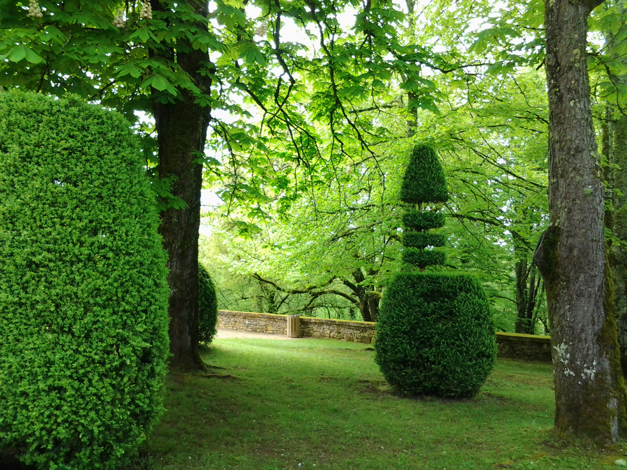 Fonds d'cran Nature Parcs - Jardins petite balade en dordogne 