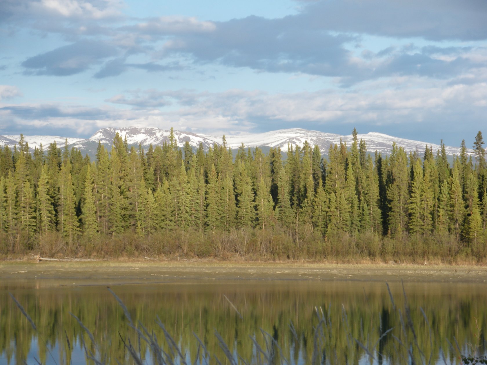 Fonds d'cran Voyages : Amrique du nord Canada Yukon River - Whitehorse (2)