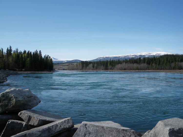 Fonds d'cran Voyages : Amrique du nord Canada Yukon River - Whitehorse (3)