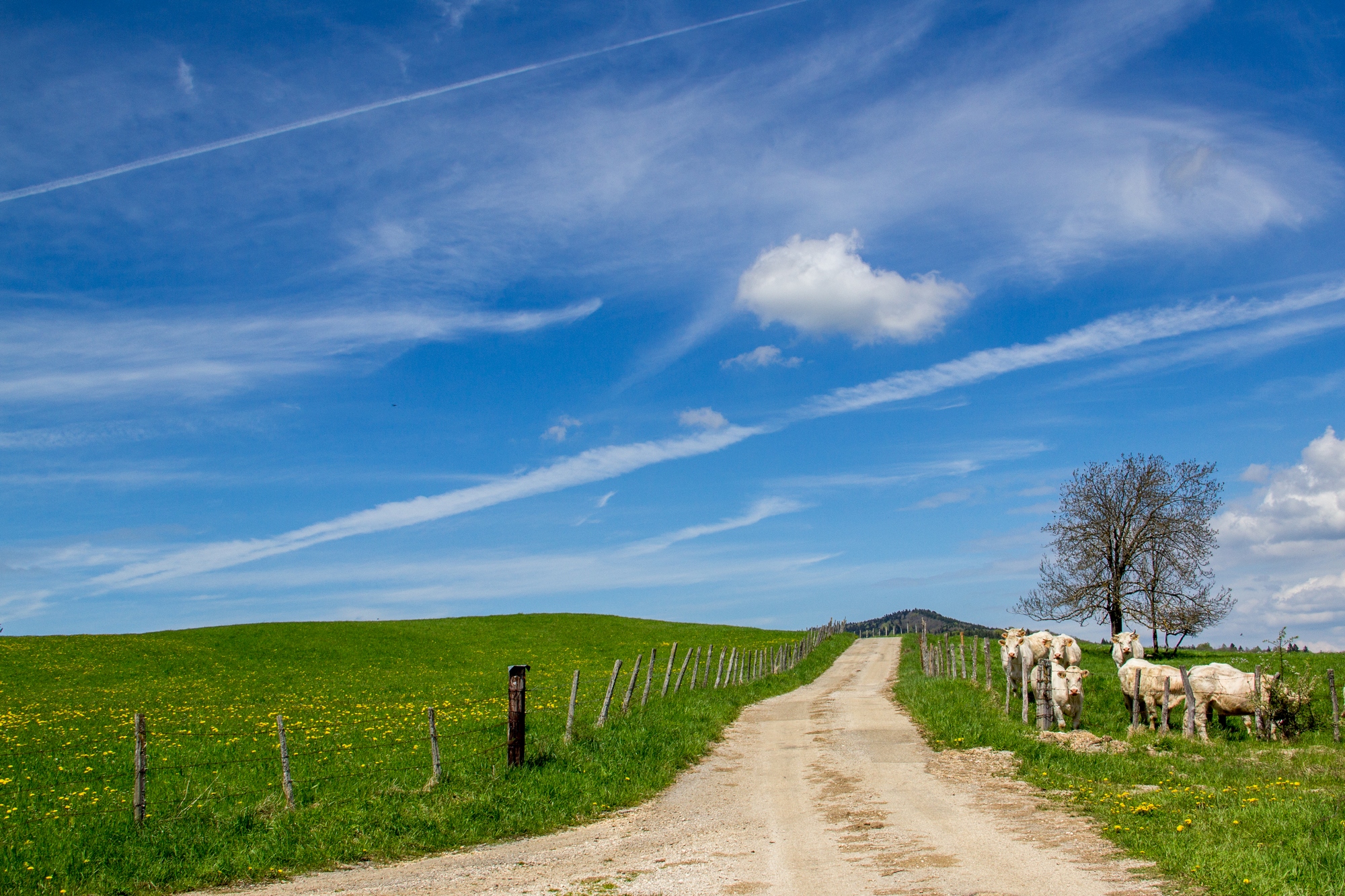 Fonds d'cran Nature Campagne 