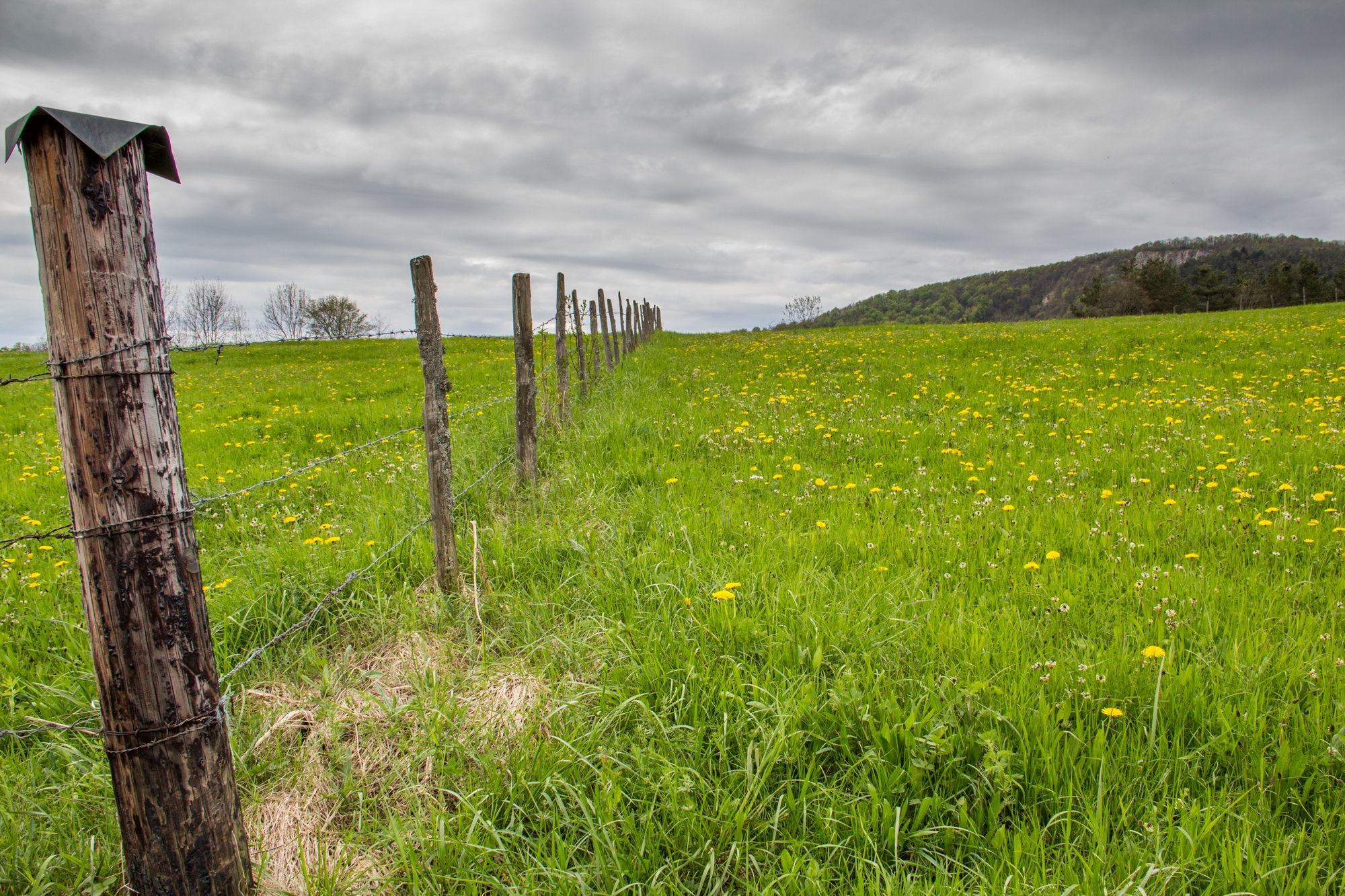 Fonds d'cran Nature Campagne 