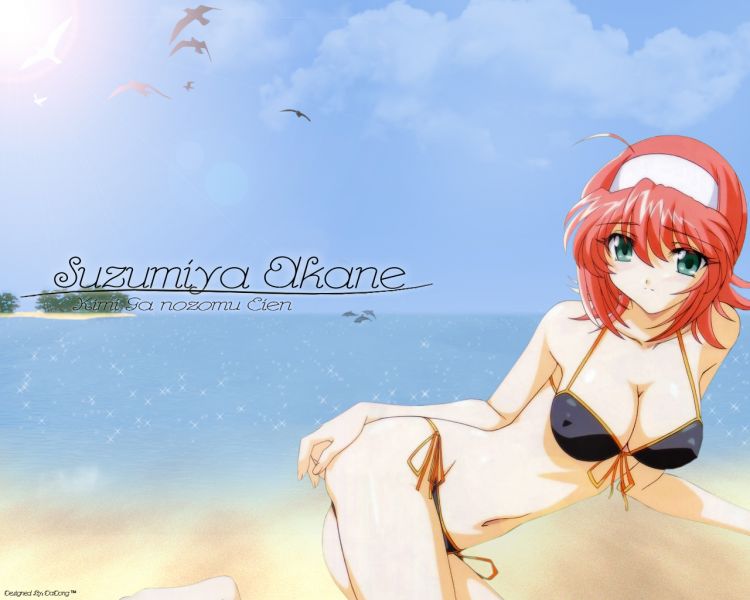 Fonds d'cran Manga Sexy Wallpaper N343957