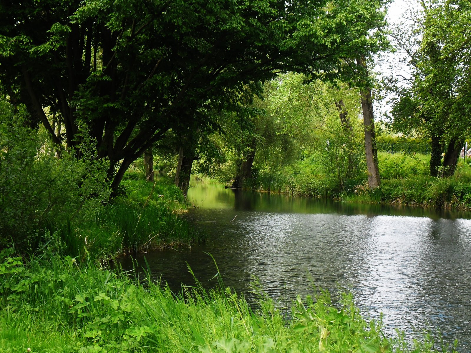 Fonds d'cran Nature Fleuves - Rivires - Torrents 