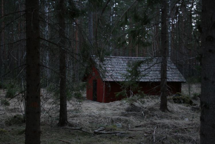 Wallpapers Trips : Europ Sweden Cabane perdue au fond des bois sudois