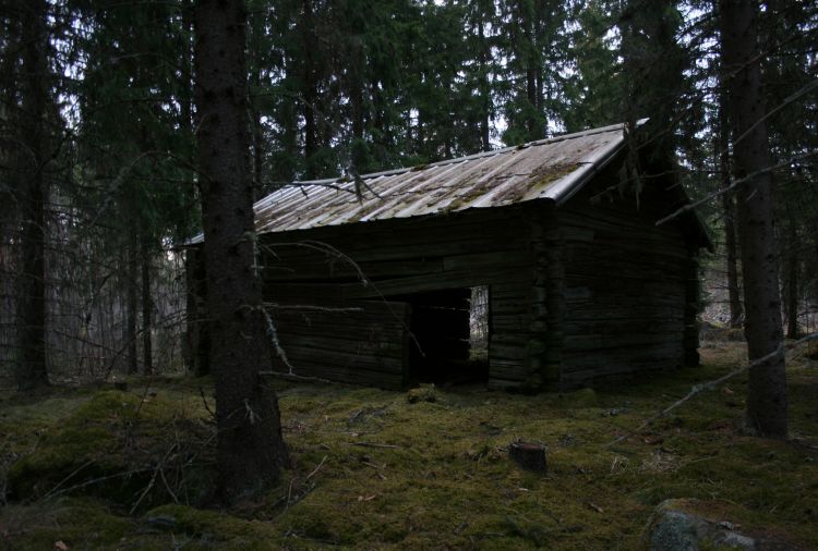 Fonds d'cran Voyages : Europe Sude Perdue dans les bois de Sude, une p'tite cabane