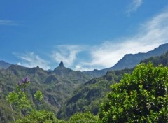  Nature Sur la route de Cilaos