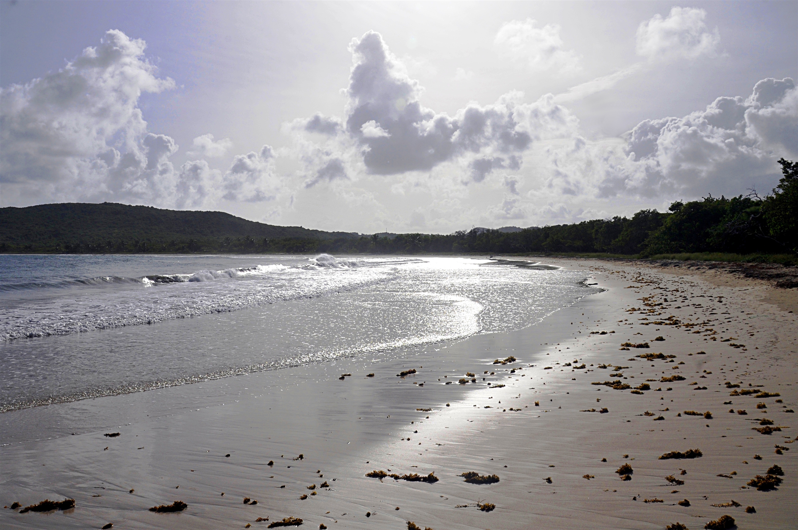 Fonds d'cran Voyages : Amrique du nord La Martinique Martinique anse Trabaud contre jour